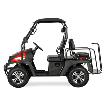 Jeep tarzı 200cc EFI golf arabası EPA